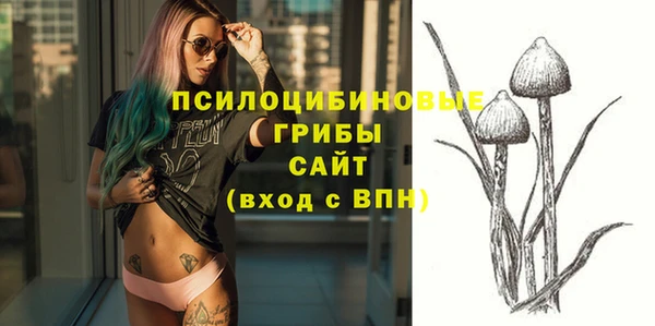 прущие грибы Арсеньев