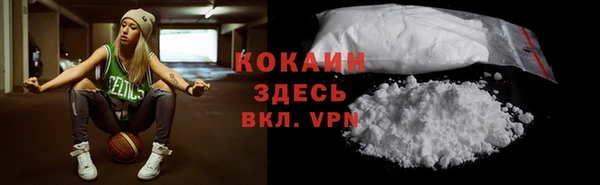 прущие грибы Арсеньев